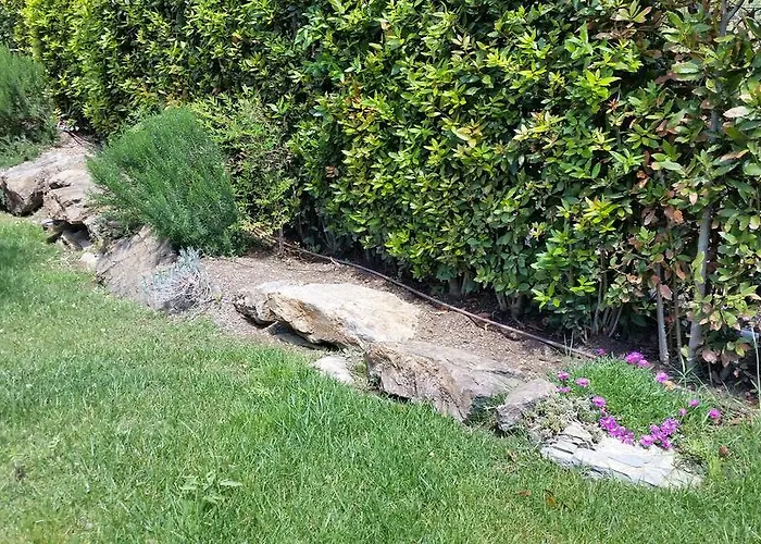 Sofia * מרינה די קמפו