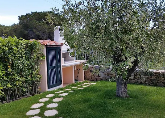 Sofia מרינה די קמפו